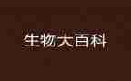 生物教师工作年终总结最新5篇