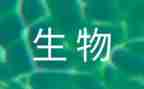高中生物教案最新7篇