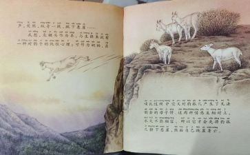 斑羚飞渡读后感400字5篇