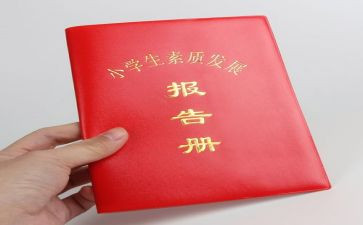 高中报告册个人总结6篇