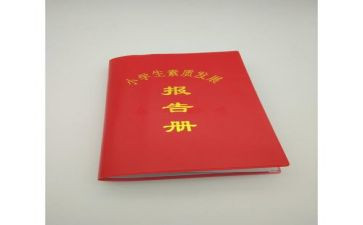 学校报告册个人总结6篇