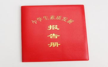 实习报告册个人总结模板7篇