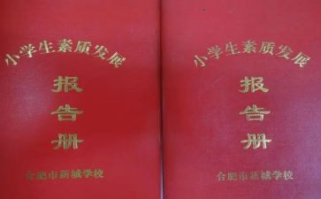 实习报告册个人总结优质7篇