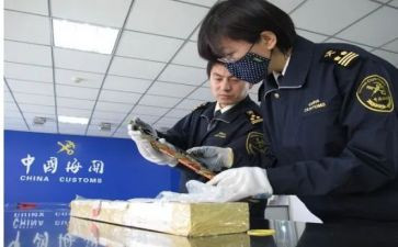 报关等工作总结8篇