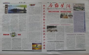 2024年报社工作总结6篇