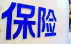 保险员个人总结报告推荐6篇