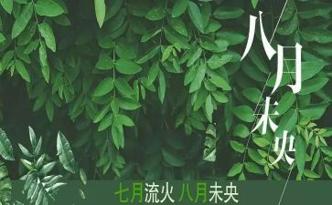 销售八月份工作总结6篇