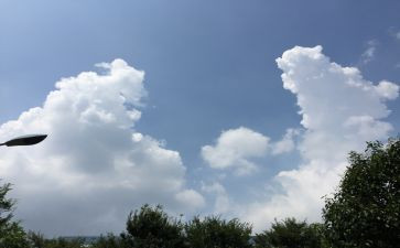 冬到春的变化作文通用6篇