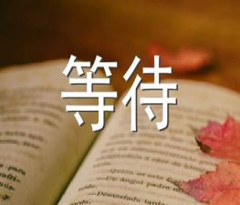 别等待作文800字5篇