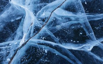 冰心的悟的读后感6篇