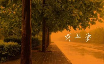 毕业班个人总结6篇