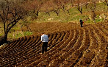 不播种则无收获作文8篇