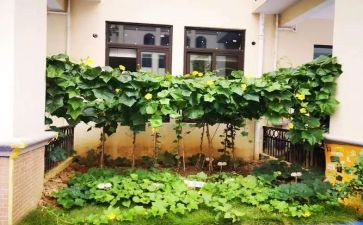 买蔬菜教案7篇