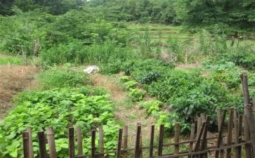 赣菜宣传活动总结5篇