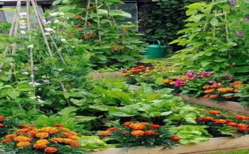 妈妈烧的菜作文400字优质7篇