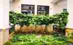 赣菜宣传活动总结精选5篇
