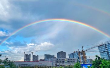 《彩虹》读后感6篇