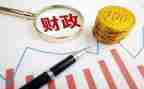 财政所工作总结个人总结8篇