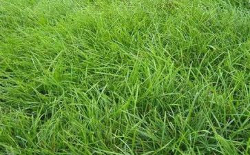 草船借读后感作文6篇