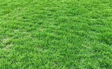 草房草房子的读后感模板7篇
