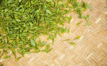 奶茶店的营销方案5篇