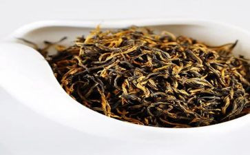 茶话会活动总结5篇