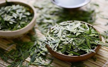 品茶的作文5篇