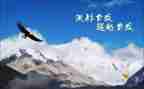 自我超越演讲稿7篇