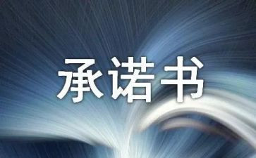 公司承诺书格式范文8篇