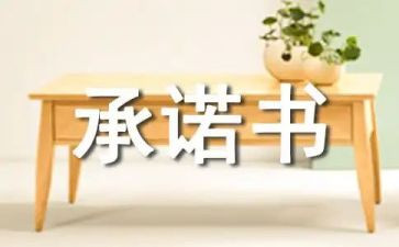 服务类售后服务承诺书优秀6篇