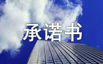 建设工程项目管理承诺书8篇