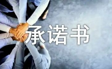 建设项目承诺书5篇
