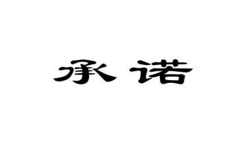 计划生育证明承诺书6篇