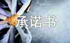 电工安全承诺书8篇