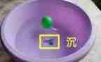 水果宝宝的沉与浮教案模板5篇