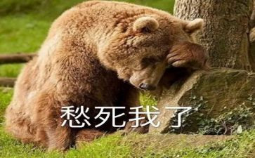 有关愁的作文800字6篇