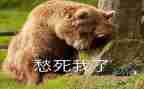 有关愁的作文800字6篇