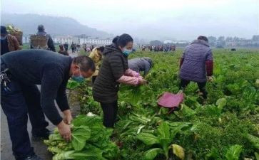 川农先进个人事迹最新8篇