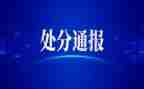 去处分的申请书最新7篇