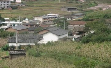 村会计工作总结范文参考8篇