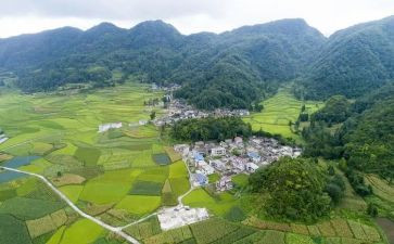 村学校财务总结报告7篇