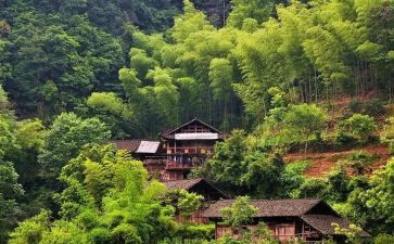 农村小学校长事迹8篇