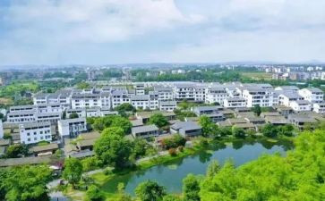 农村环保调查报告5篇
