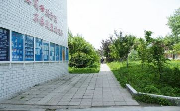 村镇所工作总结8篇