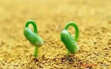 面对挫折的优秀作文6篇