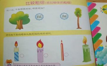 幼儿园比较粗细教案6篇