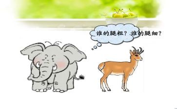 幼儿园中班《比较粗细》教案5篇