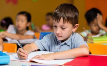 幼师大班工作总结个人总结6篇