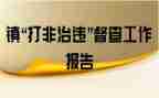 打非治违工作总结精选6篇