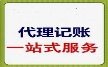 2024代账会计年度总结5篇